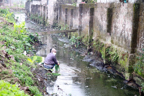 Kiểm tra, xử lý thông tin rửa rau dưới nguồn nước thải ở Hưng Yên