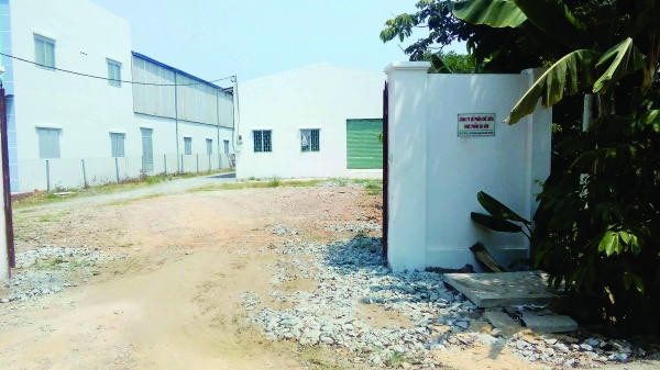 Kinh hoàng... đường phèn nhuộm màu!