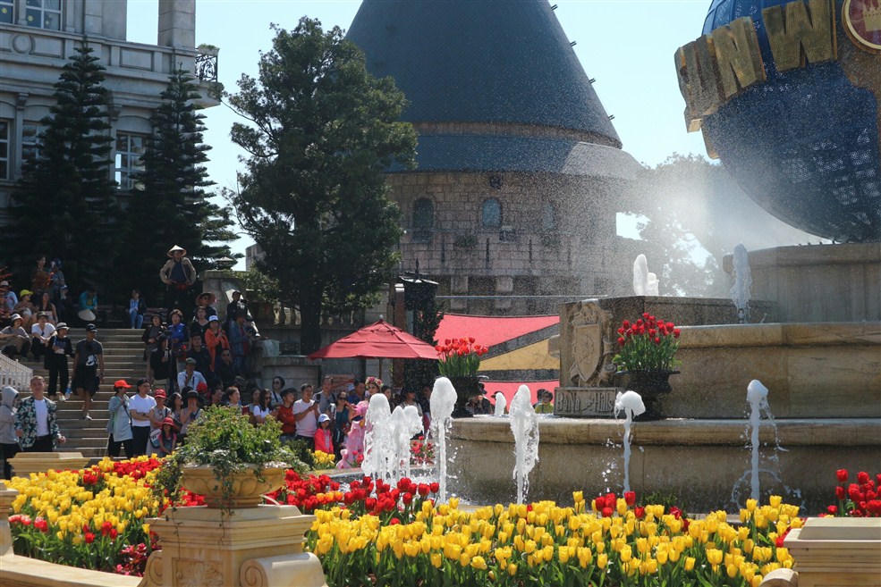 Hơn triệu bông tulip biến Bà Nà thành “xứ sở Hà Lan”