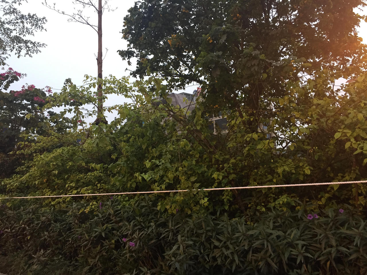 Tổng thống Donald Trump đã tới Việt Nam 