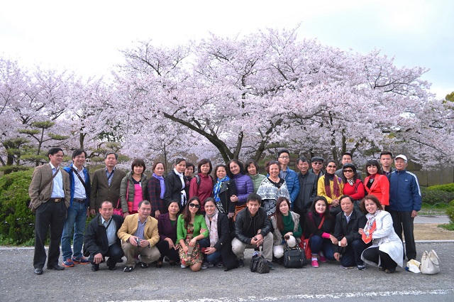 Bay thuê chuyến ‘charter’ – ai là người hưởng lợi?