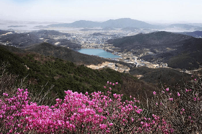 Incheon – Điểm đến của những tâm hồn yêu phong cảnh Hàn Quốc 