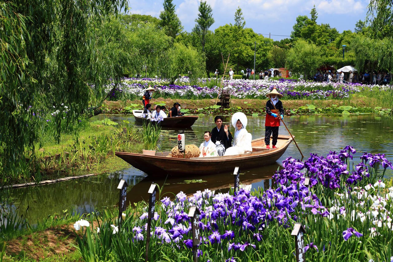 Không thể tin được Ibaraki – Nhật Bản lại có các lễ hội tuyệt vời như thế vào mùa hè này