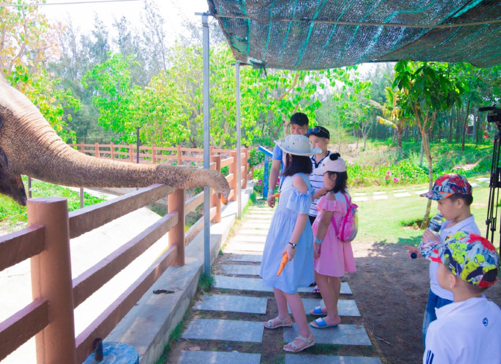 Trọn vẹn cẩm nang 72 giờ “say nắng” Quy Nhơn 