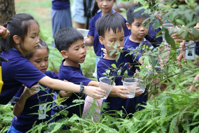 Khám phá những “ngôi nhà thiên nhiên” đầy lý thú cho trẻ phát triển toàn diện