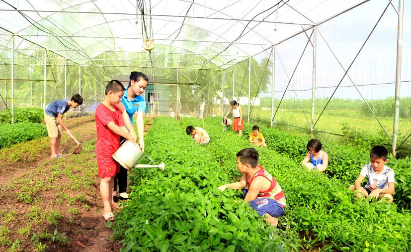 Khám phá những “ngôi nhà thiên nhiên” đầy lý thú cho trẻ phát triển toàn diện