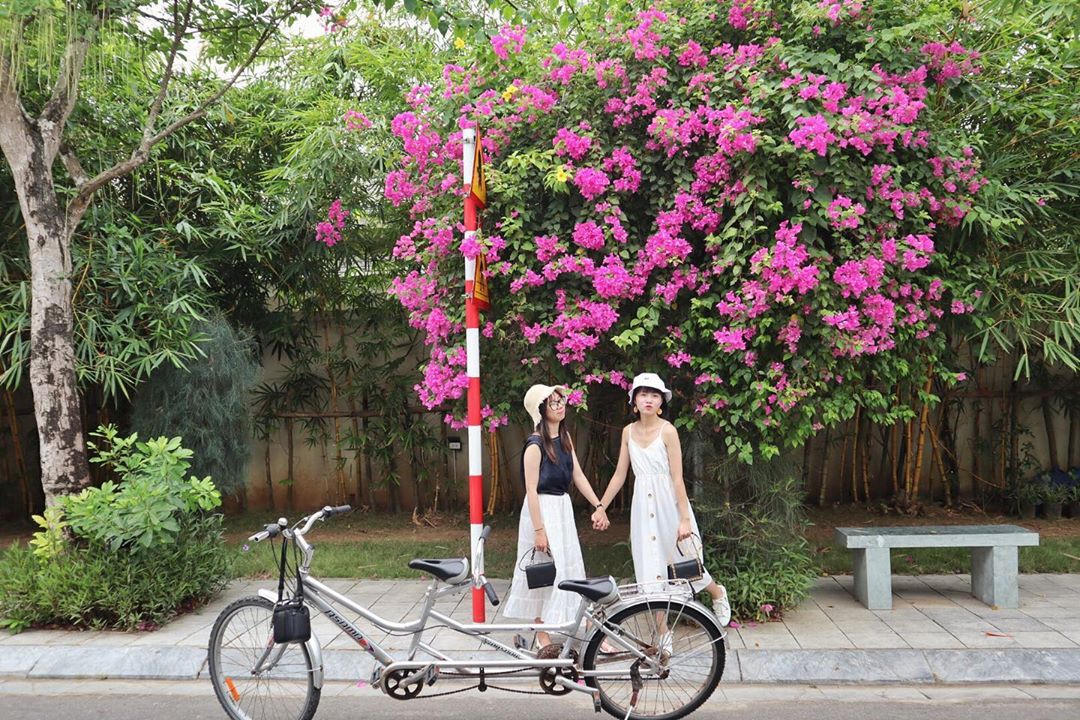 Những góc check-in siêu lãng mạn ở FLC Sầm Sơn