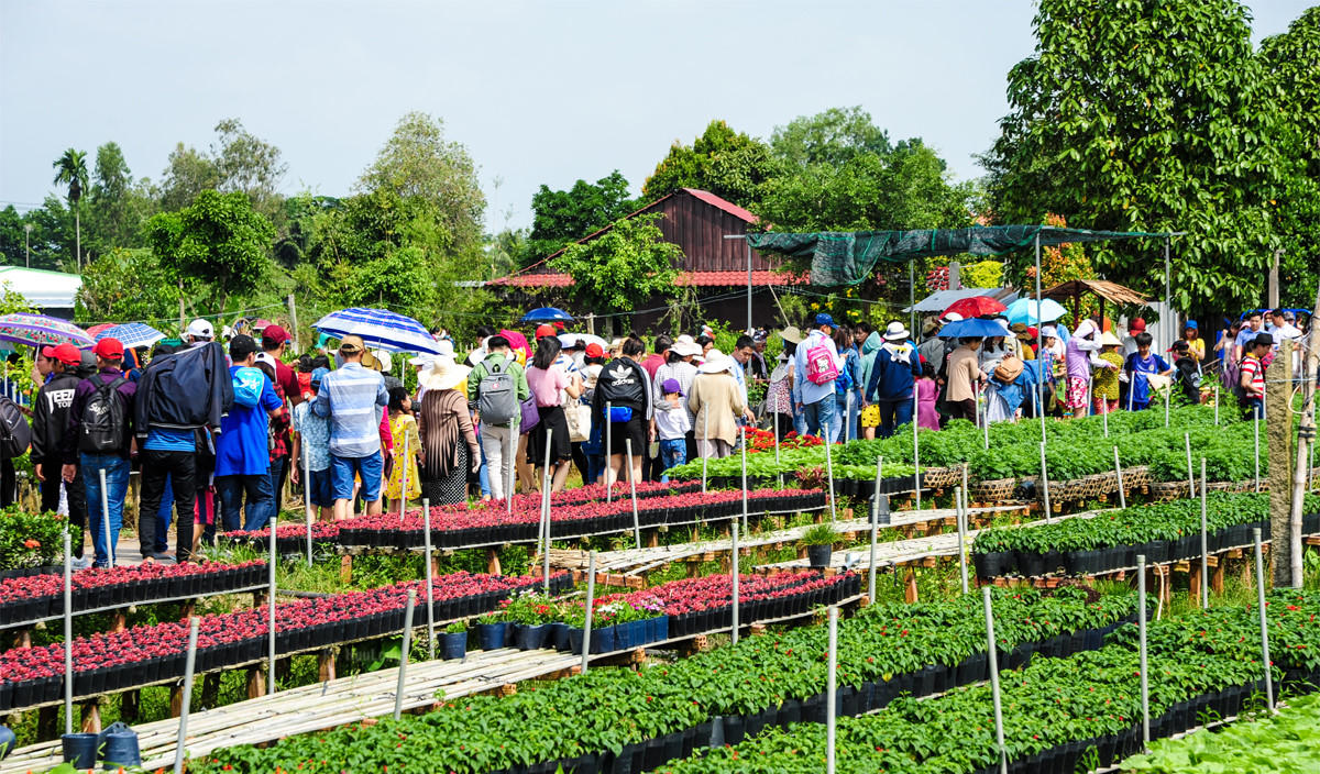 Sa Đéc, từ thủ phủ hoa đến trung tâm đô thị, du lịch trọng điểm của miền Tây 
