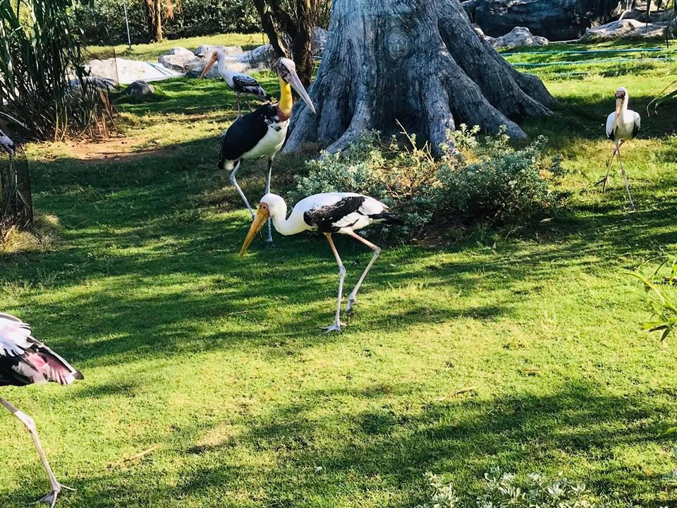 Tour “honey moon” Quy Nhơn - Phú Yên - Đà Lạt đầy ngọt ngào của cặp đôi 9x
