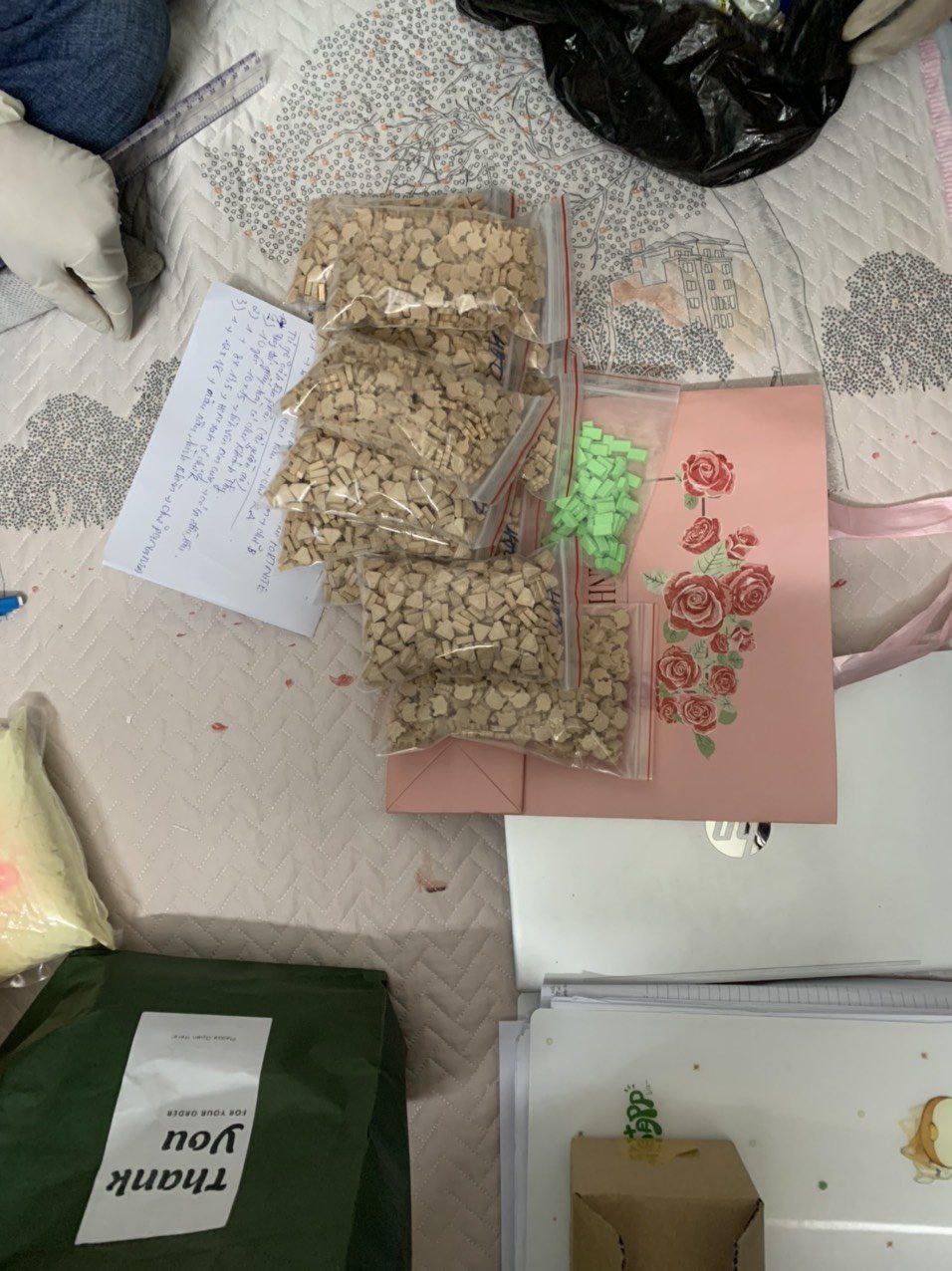 Bắt bà trùm ma tuý Oanh "Hà" khét tiếng, bất hảo