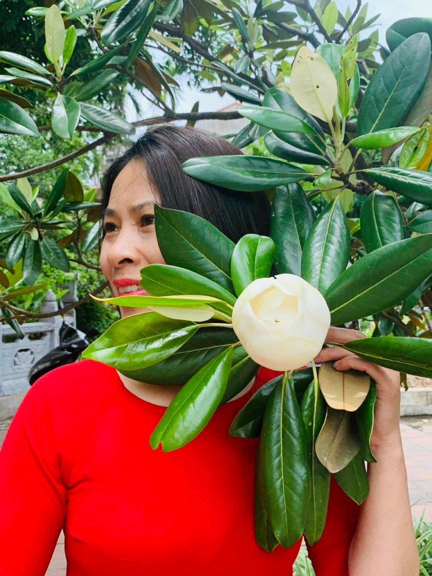 Về hội chùa Bối Khê chiêm ngưỡng hoa sen đất