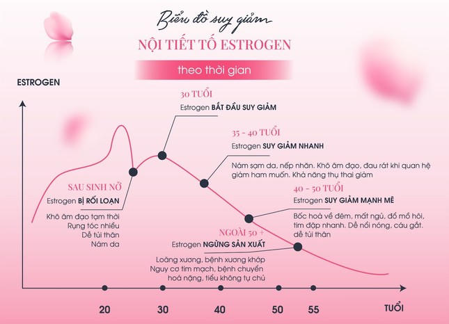 Viên uống Tố nữ Dione Puera Estro V1 - Giải pháp tự nhiên hỗ trợ, cải thiện suy giảm nội tiết tố nữ