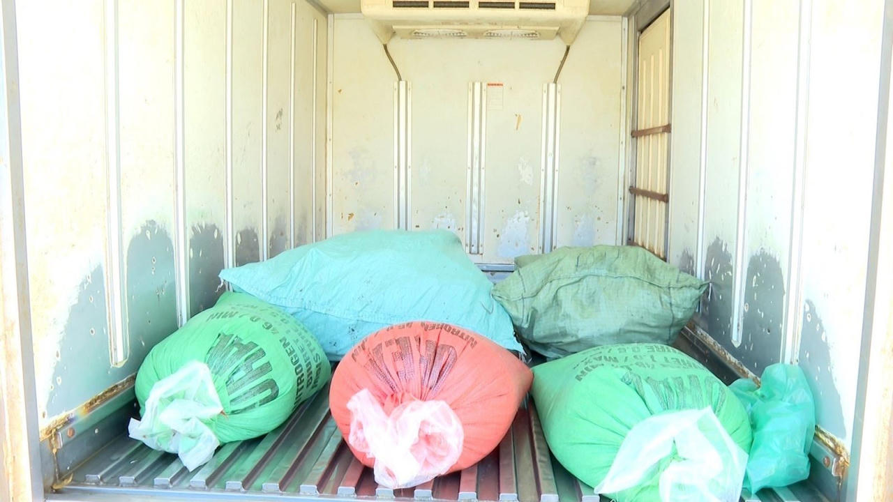 Phát hiện hơn 300kg sản phẩm động vật bốc mùi hôi thối