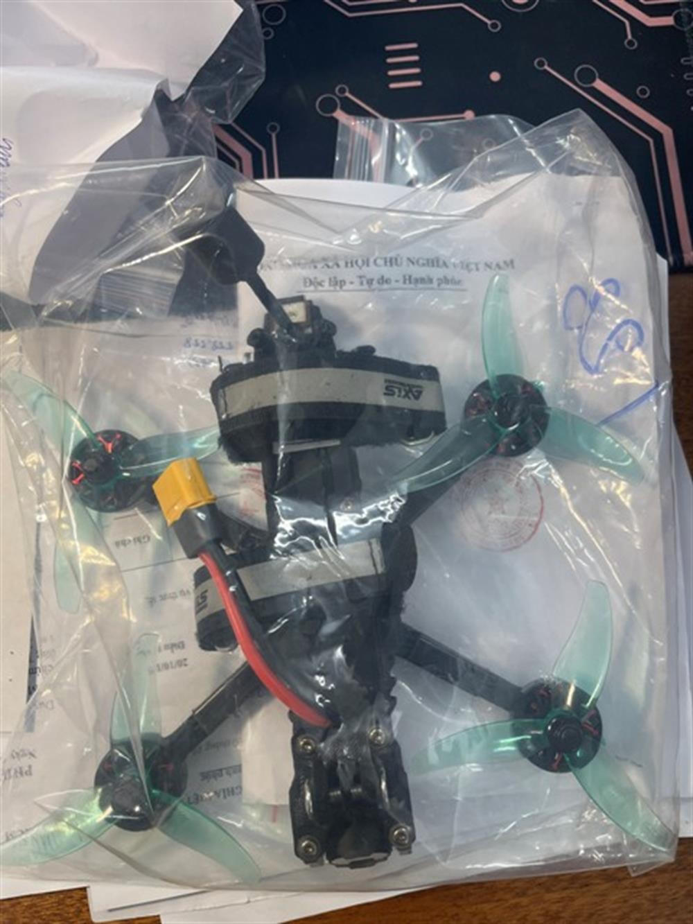 Đề nghị truy tố người mẫu Ngọc Trinh