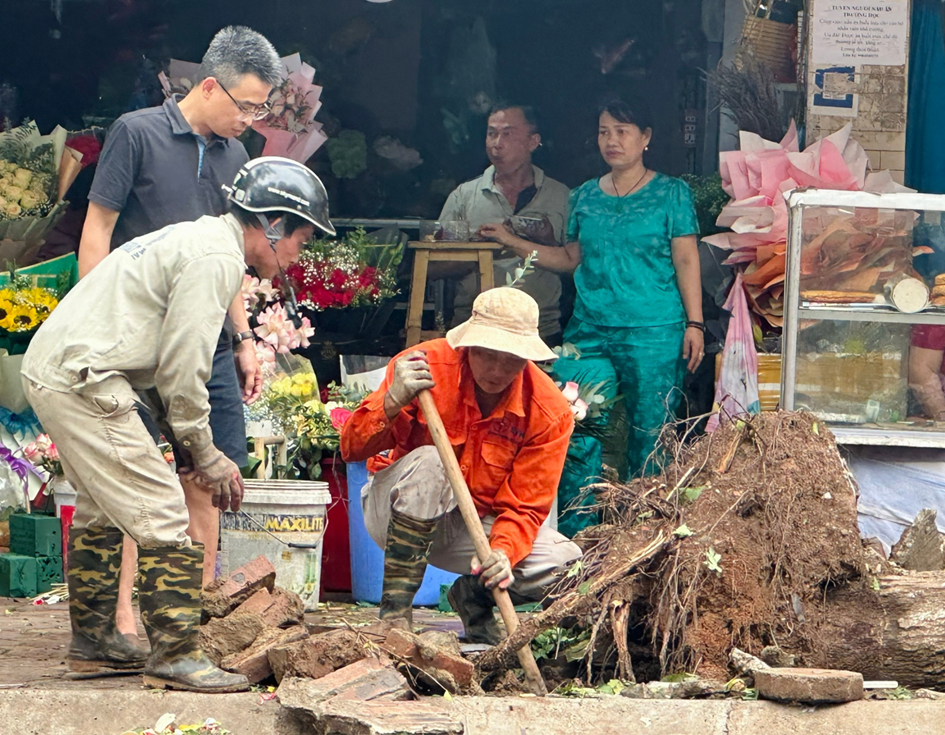 Chung tay dọn tàn dư bão, khôi phục cảnh quan phố phường Hà Nội