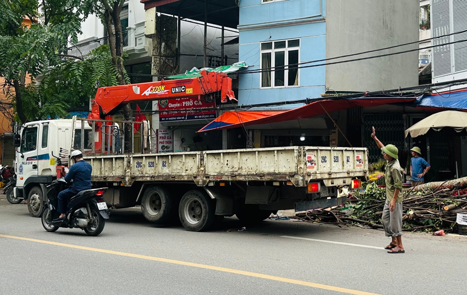 Chung tay dọn tàn dư bão, khôi phục cảnh quan phố phường Hà Nội