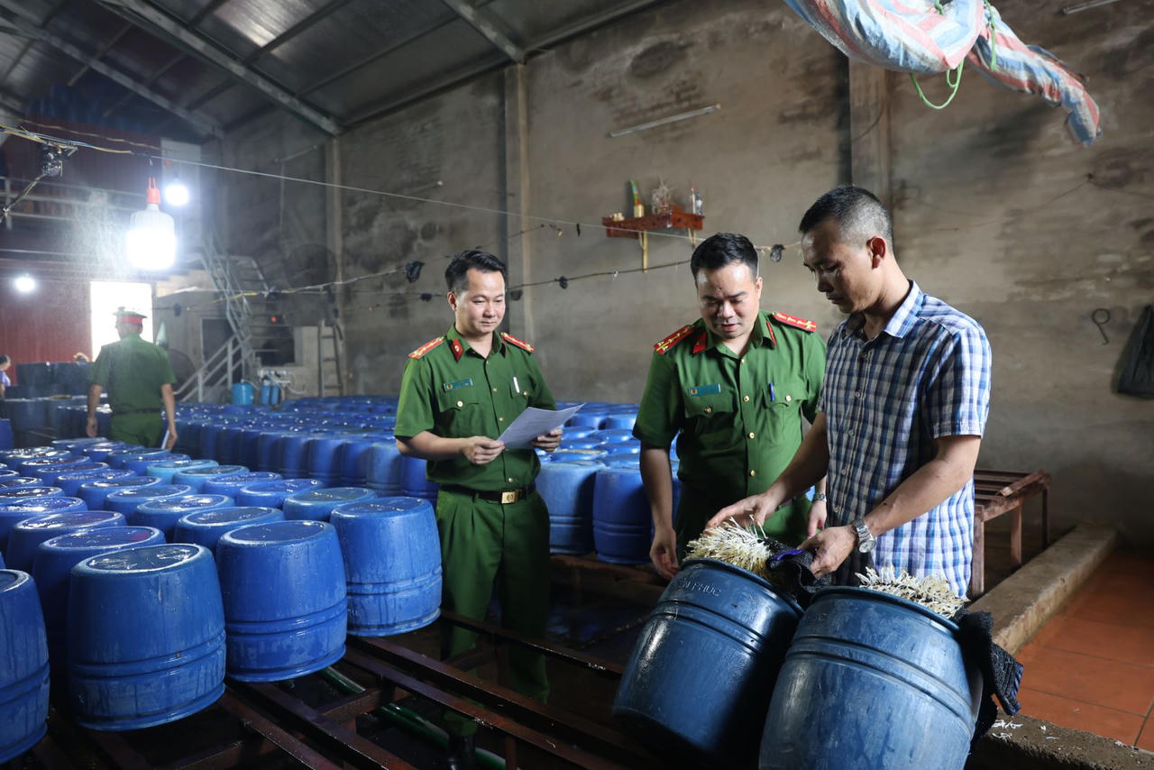 Khởi tố chủ xưởng bán 60 tấn giá đỗ “ngậm” thuốc kích thích ra thị trường