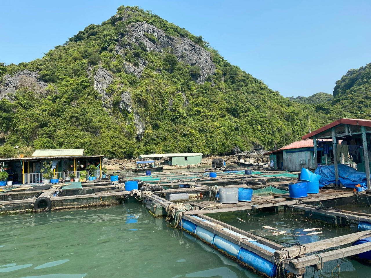 Hải Phòng hỗ trợ, di dời được 85% cơ sở nuôi trồng thủy sản trên các vịnh quần đảo Cát Bà