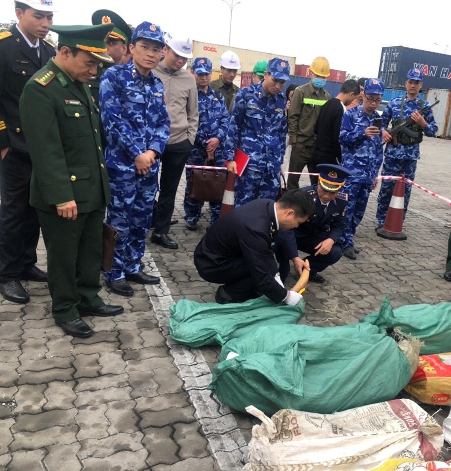 Phát hiện vụ nhập lậu ngà voi số lượng lớn tại Cảng Đình Vũ