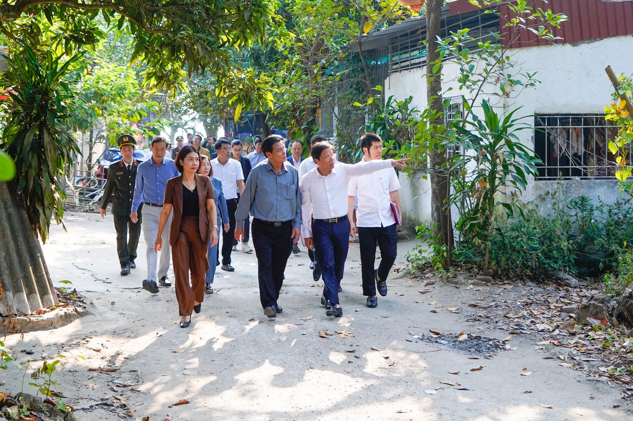 Xem xét trách nhiệm của tập thể, cá nhân đã buông lỏng quản lý đất đai tại Đồ Sơn