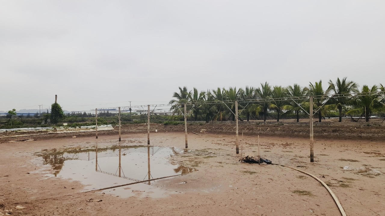 Hải Phòng: Chuẩn bị cưỡng chế thi hành án tại phường Ngọc Xuyên, Đồ Sơn 