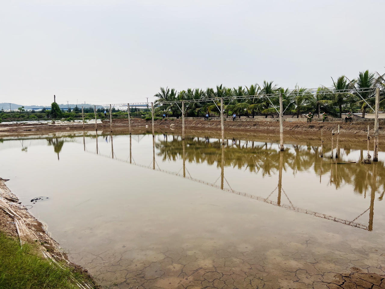 Hải Phòng: Chi cục THADS quận Đồ Sơn hoàn thành cưỡng chế chuyển giao quyền sử dụng đất 