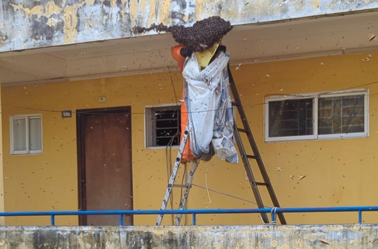 Hải Phòng: Nhiều người nhập viện cấp cứu do khách sạn cao cấp phá dỡ tổ ong