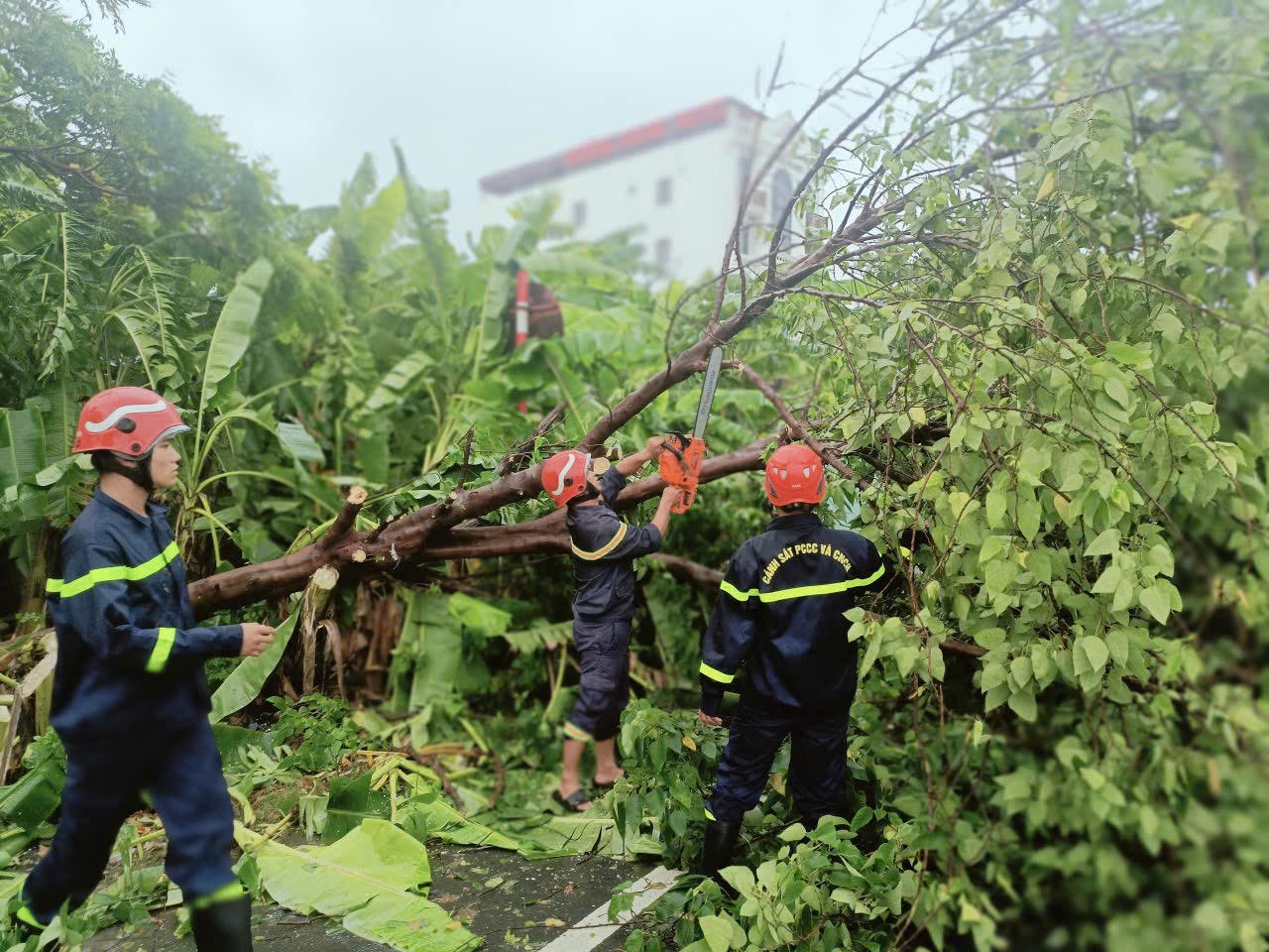 Công an thành phố Hải Phòng tập trung lực lượng khắc phục sau bão số 3 