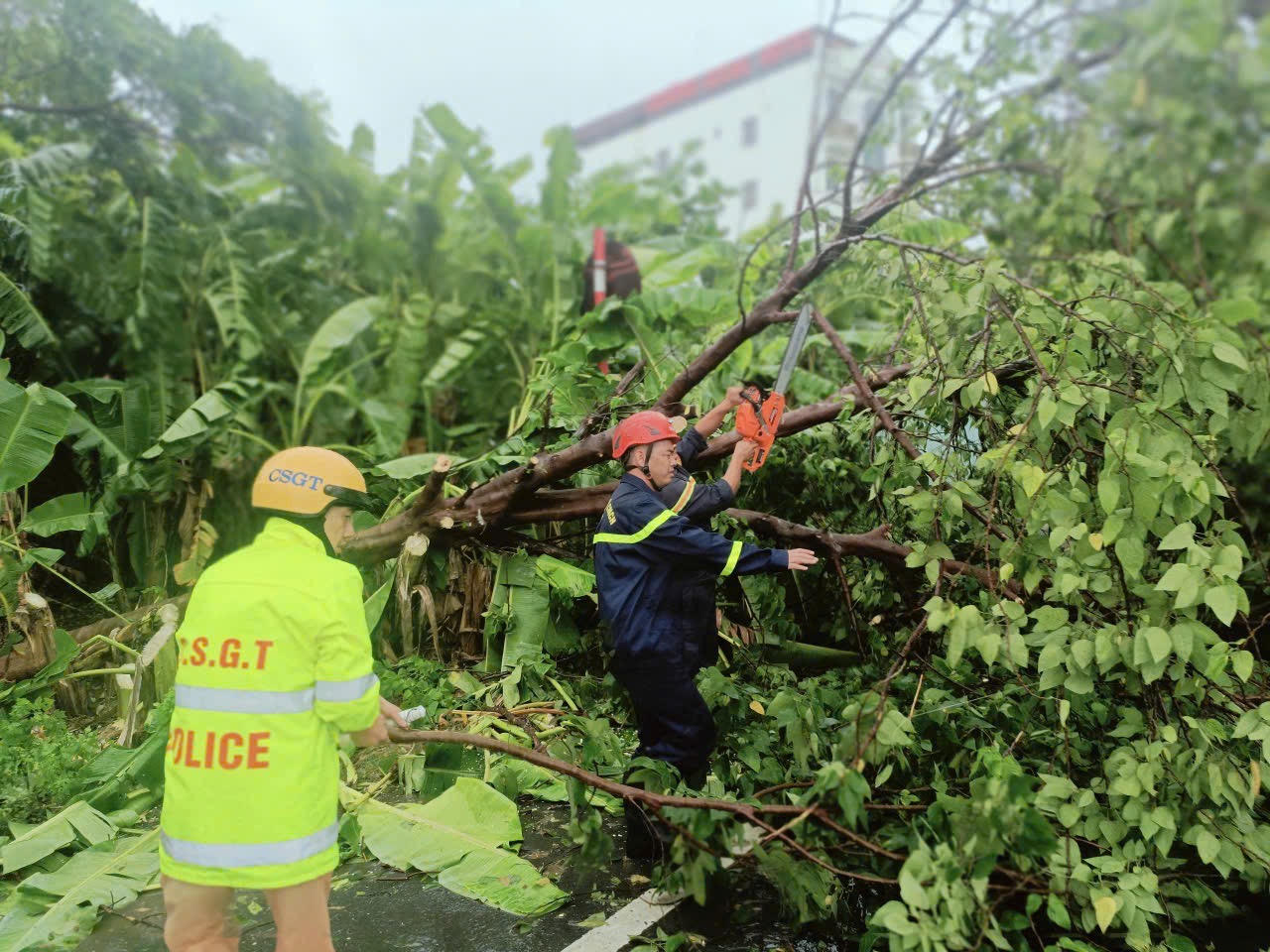 Công an thành phố Hải Phòng tập trung lực lượng khắc phục sau bão số 3 