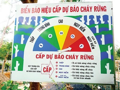 Hải Phòng tăng cường biện pháp phòng cháy, chữa cháy rừng sau bão số 3