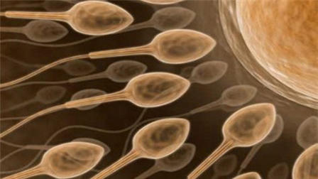 Nam sinh rao bán tinh trùng để mua iPhone