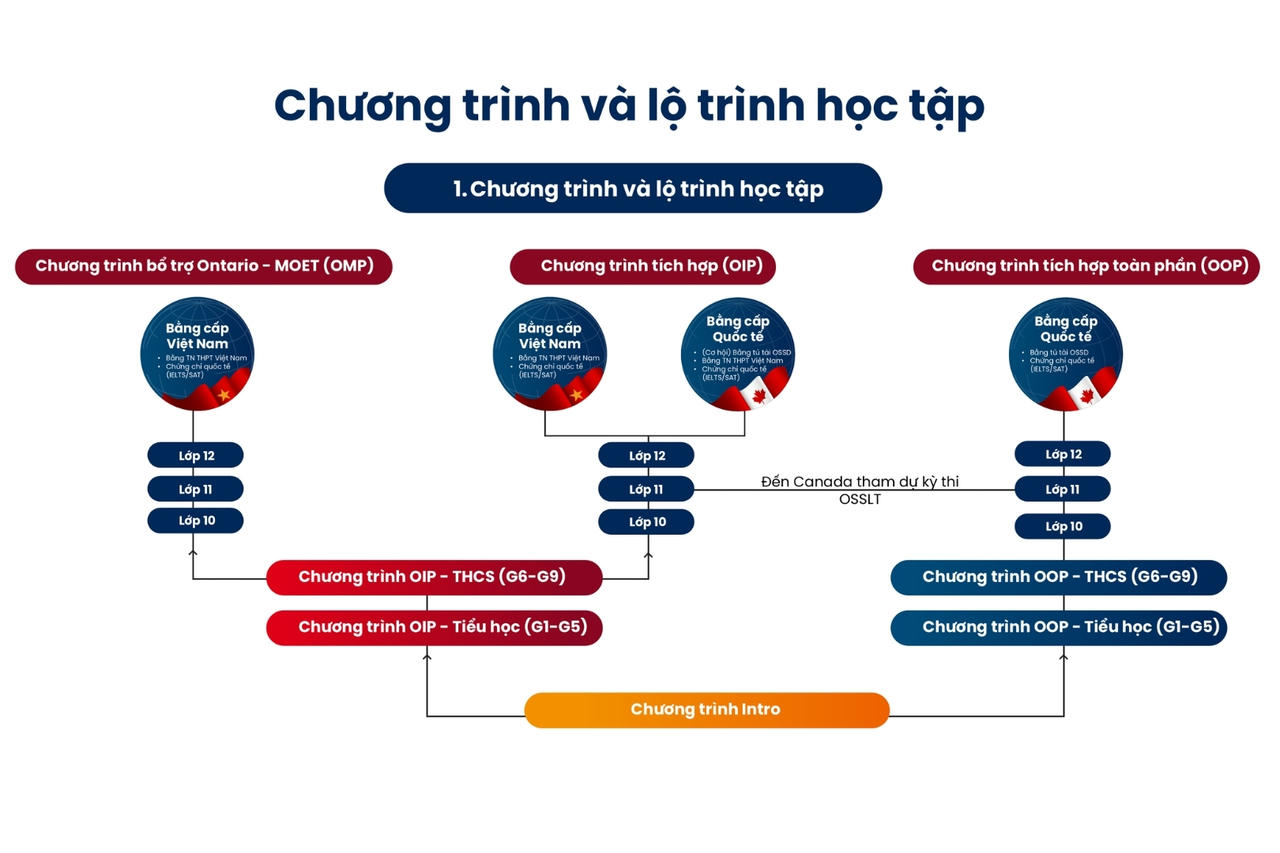 Chọn trường quốc tế Hà Nội – Toronto: Sự “rẽ hướng” thông minh hay buông bỏ cuộc đua vào lớp 10