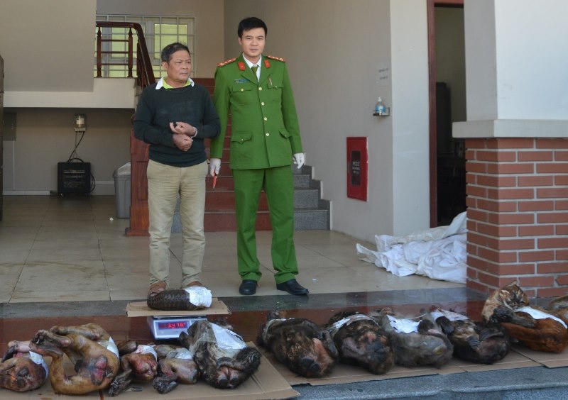 Bắt đối tượng mua bán trái phép 13 cá thể động vật hoang dã, quý hiếm 