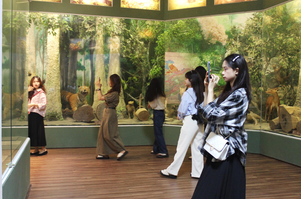 Bảo tàng Nghệ An bỗng trở thành "hot trend" với giới trẻ 