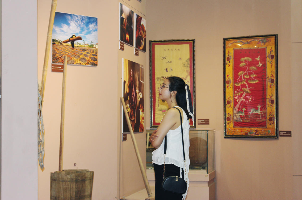 Bảo tàng Nghệ An bỗng trở thành "hot trend" với giới trẻ 