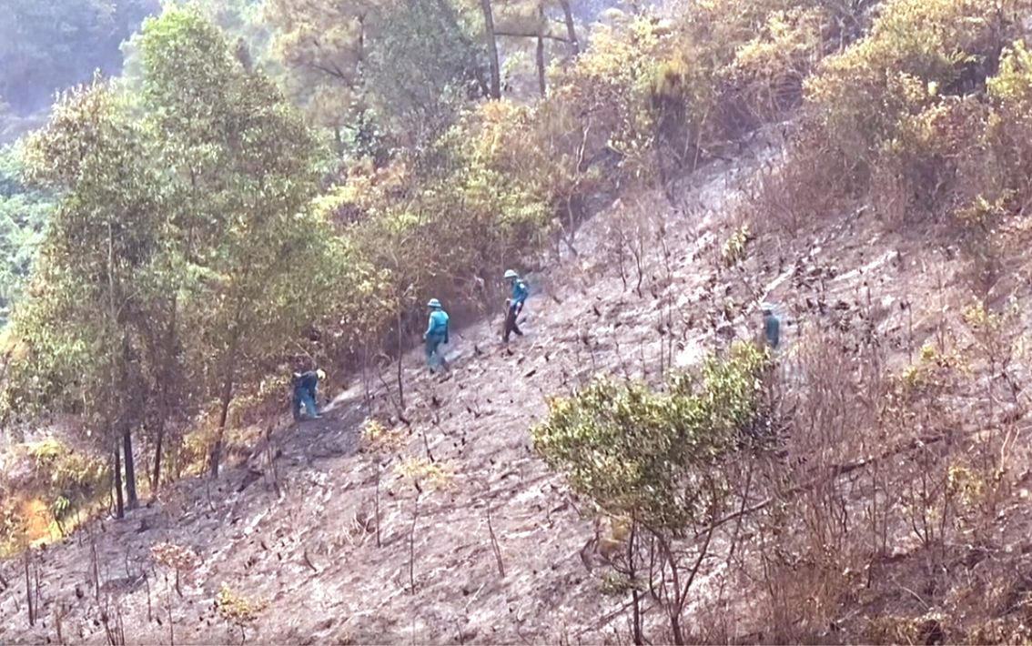 Công an mời 4 người liên quan đến vụ cháy rừng liên huyện ở Nghệ An