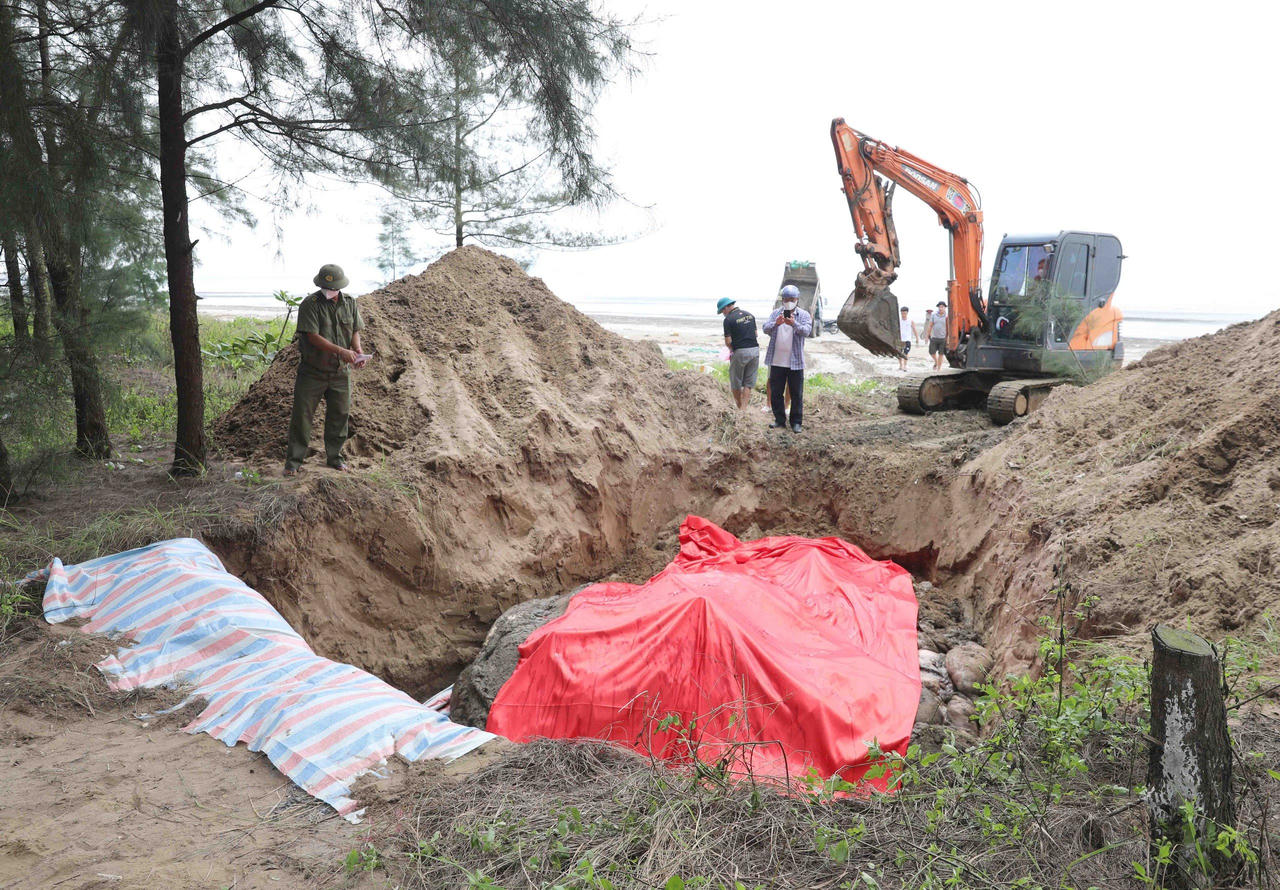 Cá voi nặng khoảng hơn 10 tấn bị trôi dạt vào bờ