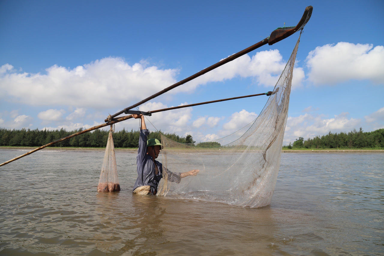Ngư dân xứ Nghệ phấn khởi vào mùa khai thác ruốc biển