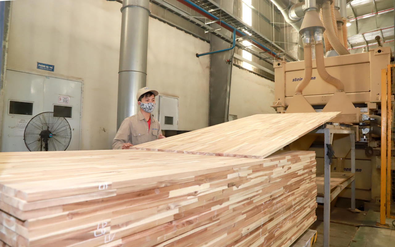 Quy hoạch lâm nghiệp tỉnh Nghệ An: Động lực phát triển kinh tế rừng bền vững