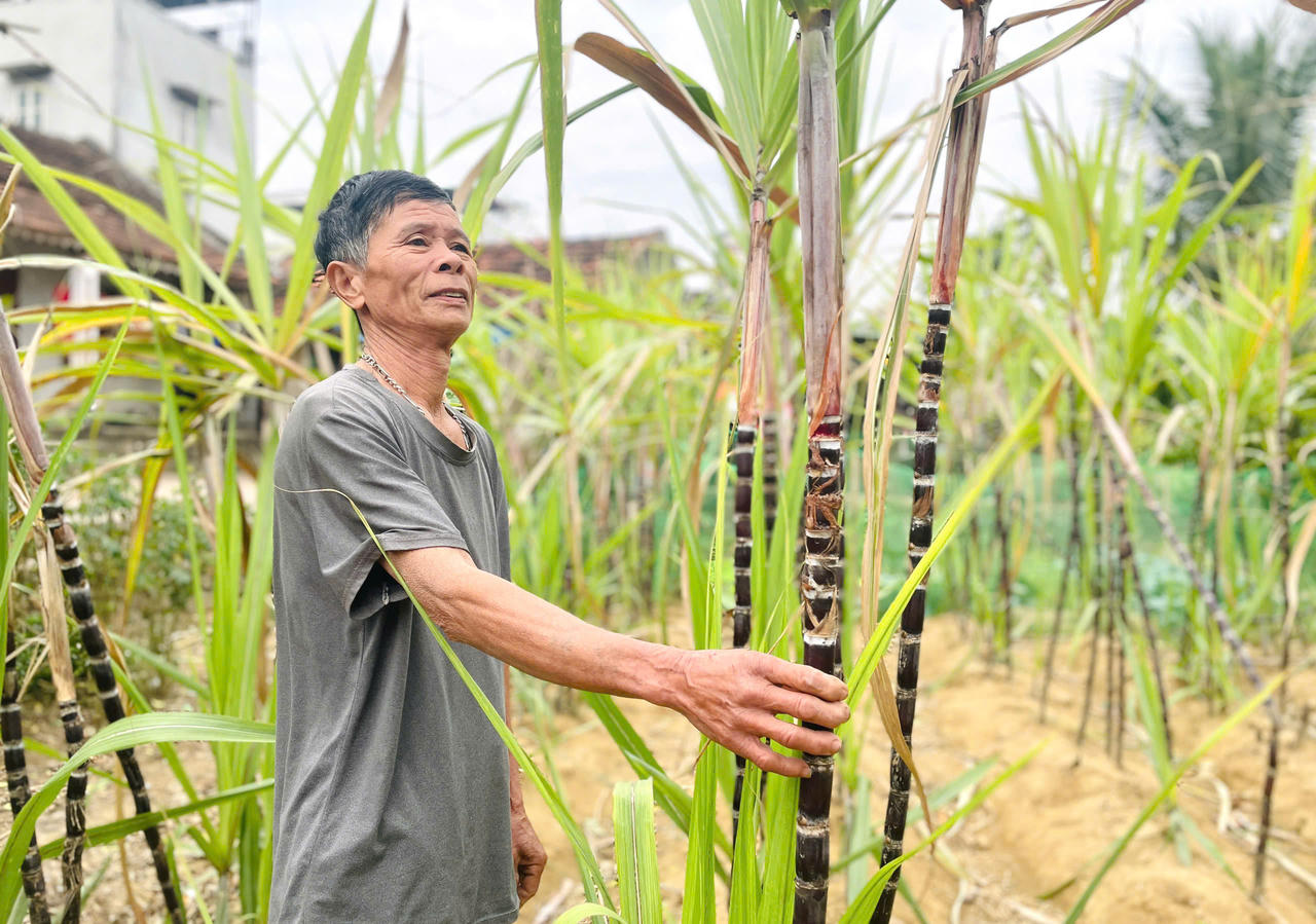 Nỗi niềm gia đình có con đón Tết xa nhà