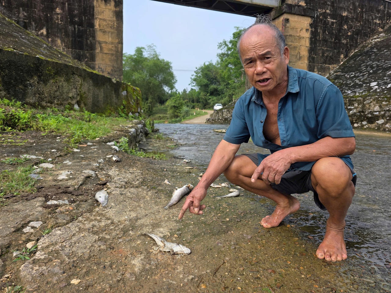 Hà Tĩnh: Xác minh nguyên nhân cá chết hàng loạt ở suối Khe Ác