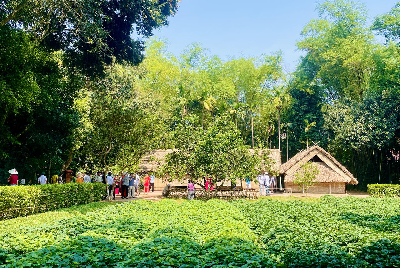 Chúng con về với Bác