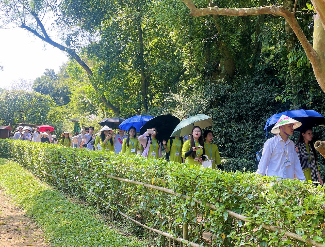 Chúng con về với Bác