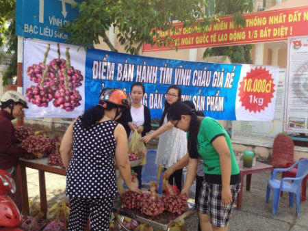 Tỉnh Đoàn Sóc Trăng làm cầu nối tiêu thụ hành tím cho nông dân