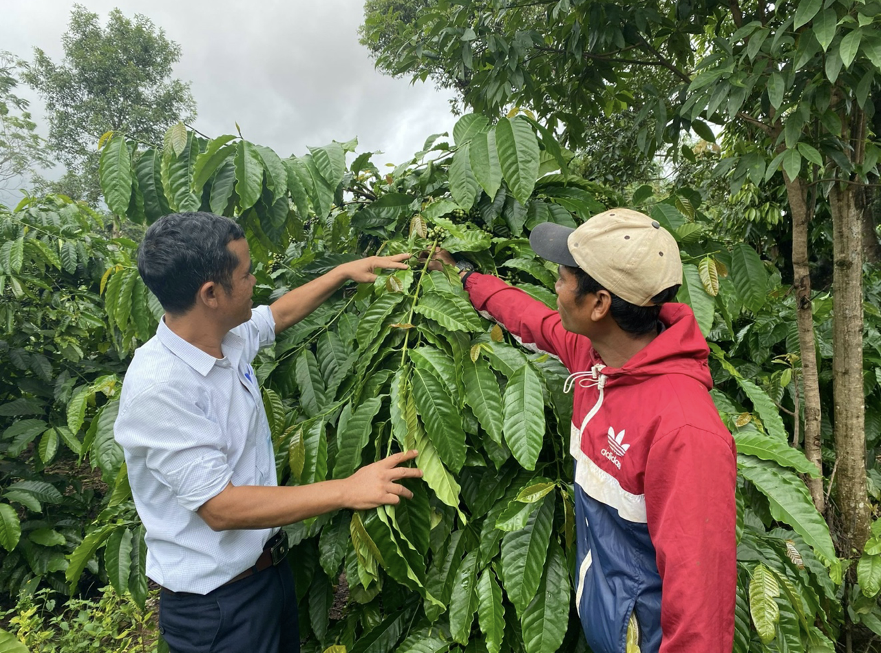 “Nhạc trưởng” của phong trào xây dựng nông thôn mới thôn Đăk Mút