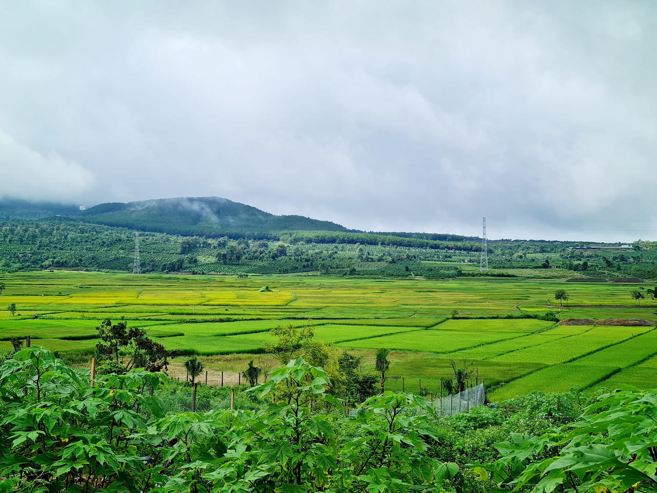 Tây Nguyên mùa nhớ! 