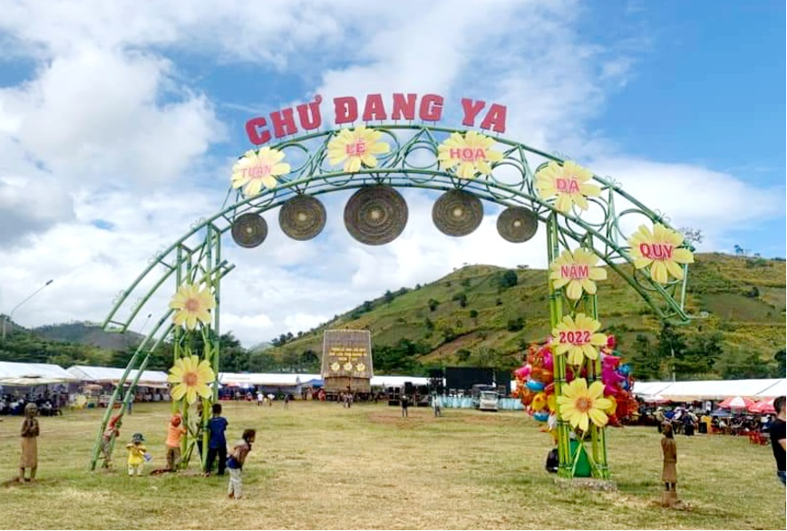 Tuần lễ Hoa Dã quỳ lần 2 diễn ra tại Núi lửa Chư Đang Ya