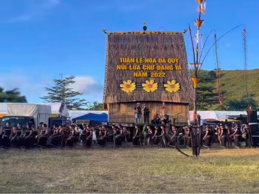 Tuần lễ Hoa Dã quỳ lần 2 diễn ra tại Núi lửa Chư Đang Ya