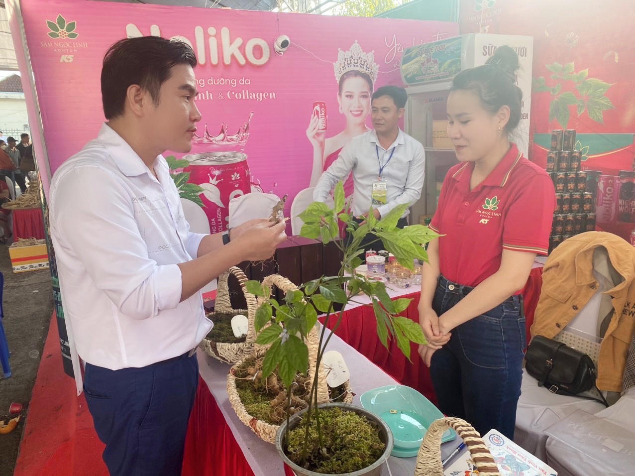 Kon Tum: Khai mạc Phiên chợ Sâm Ngọc linh lần thứ II