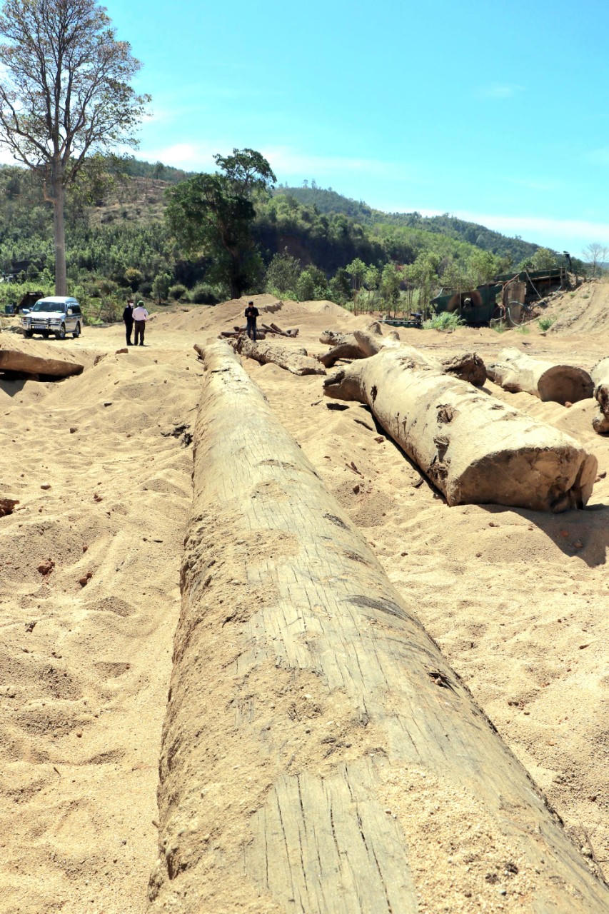 Phát hiện bãi tập kết gỗ trái phép tại Kon Tum